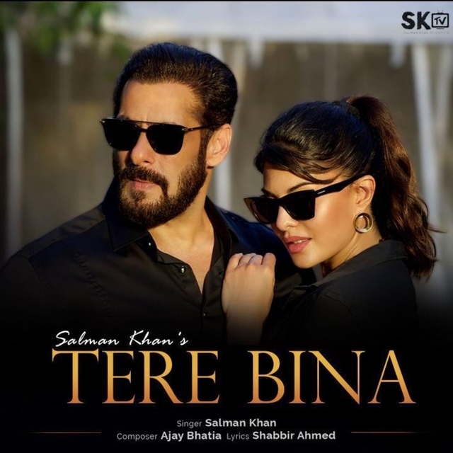 Couverture de Tere Bina