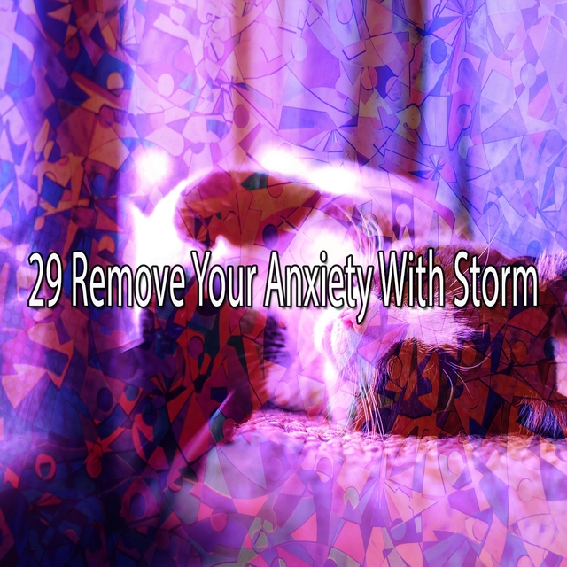 29 Remove Your Anxiety with Storm