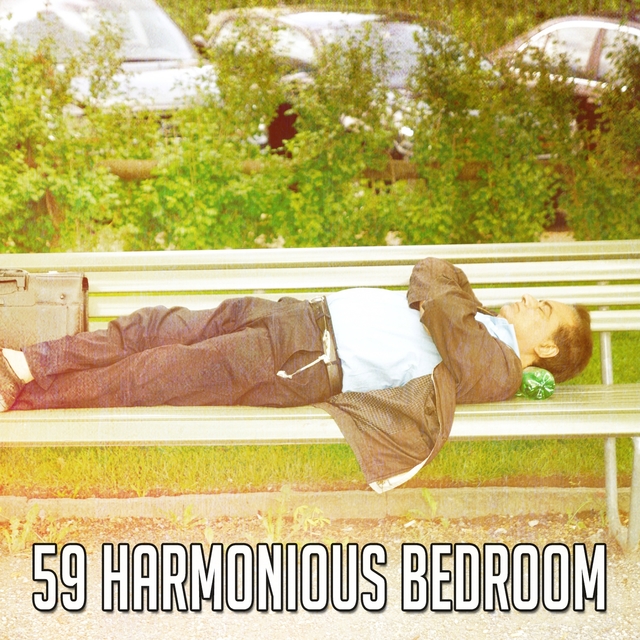 59 Harmonious Bedroom