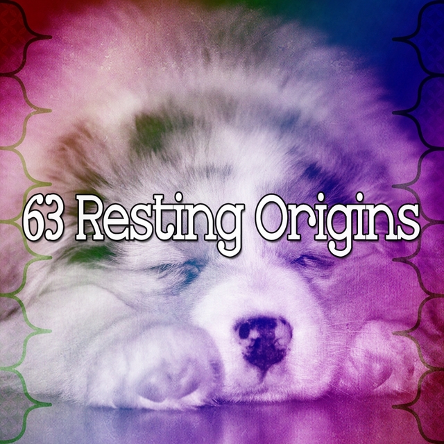 63 Resting Origins