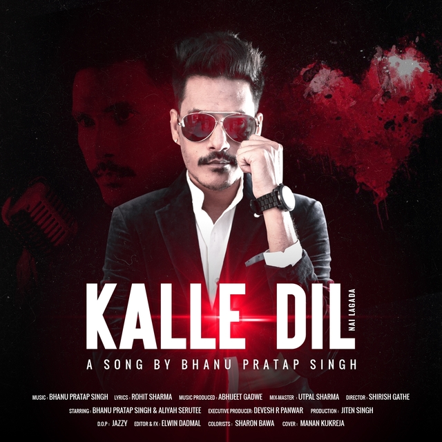 Couverture de Kalle Dil