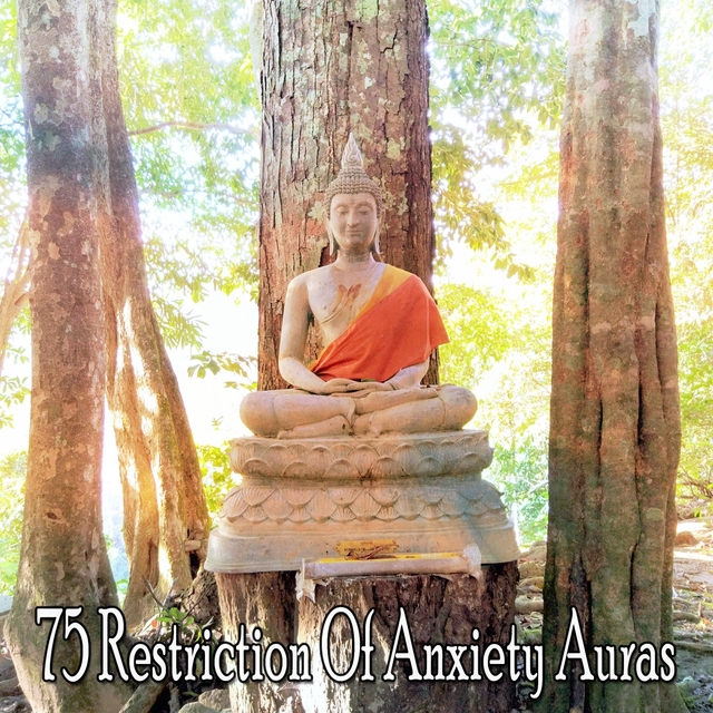 75 Restriction of Anxiety Auras