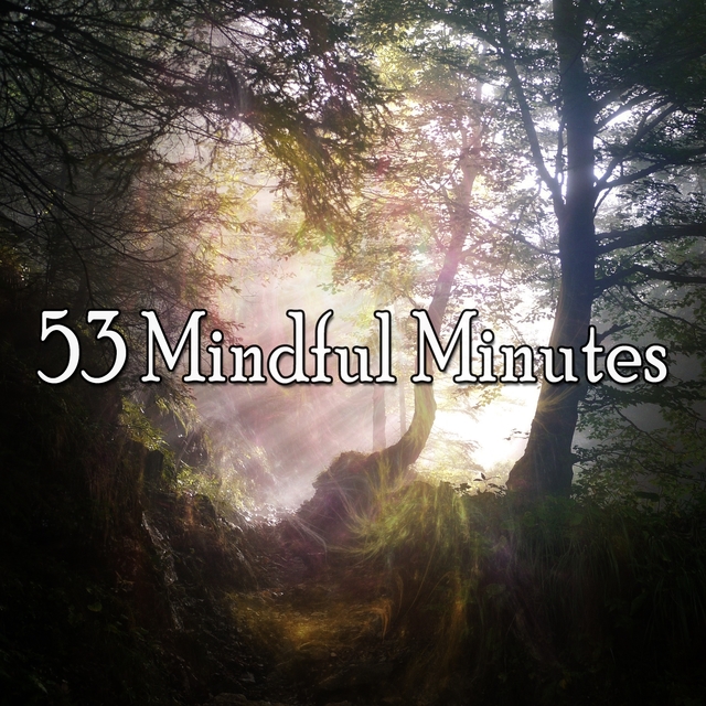 53 Mindful Minutes