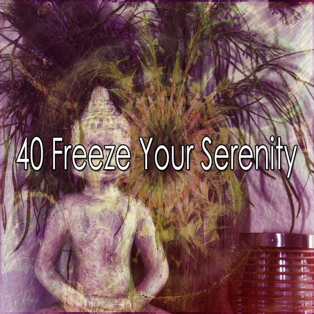 40 Freeze Your Serenity