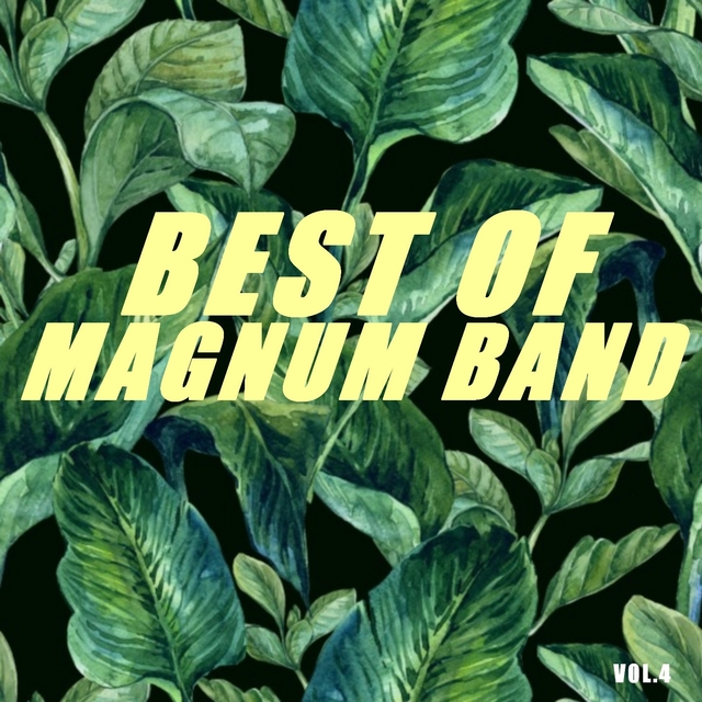 Couverture de Best of magnum band