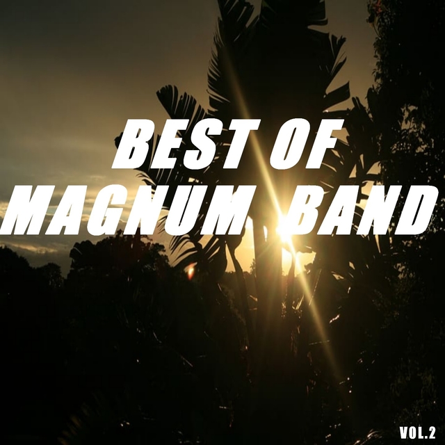 Couverture de Best of magnum band