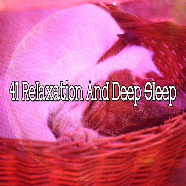 41 Relaxation and Deep Sle - EP