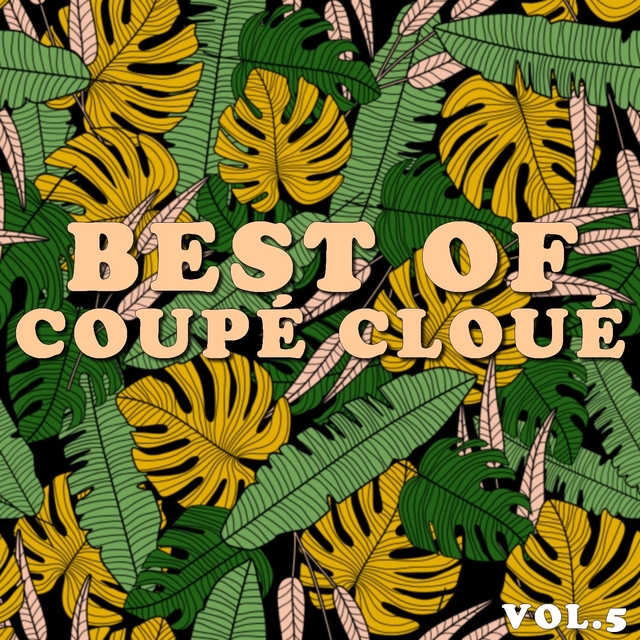 Couverture de Best of coupé cloué