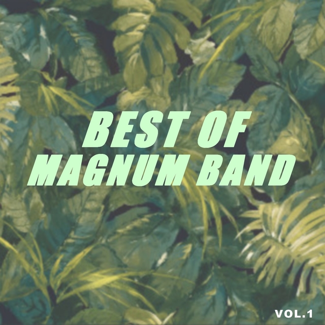 Couverture de Best of magnum band