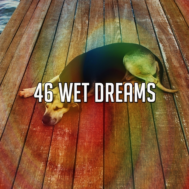 46 Wet Dreams