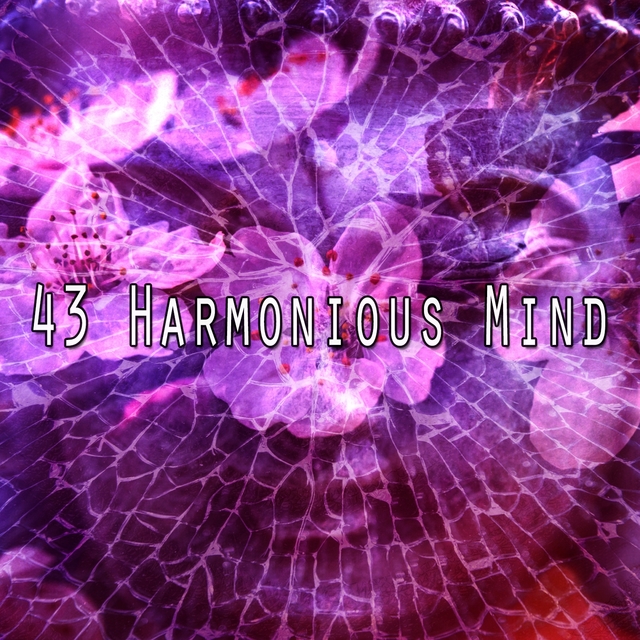 43 Harmonious Mind