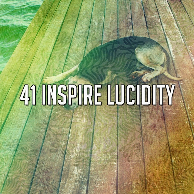41 Inspire Lucidity