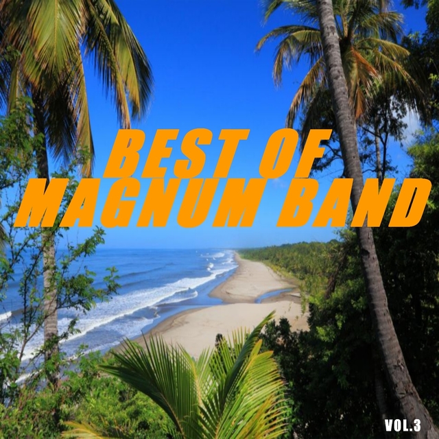 Couverture de Best of magnum band