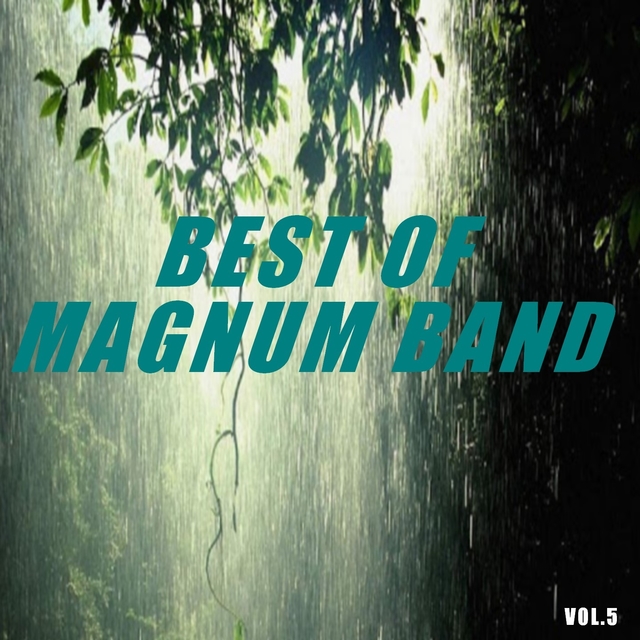 Couverture de Best of magnum band