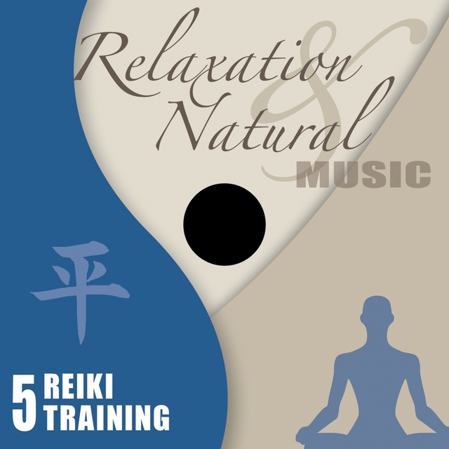 Couverture de Reiki Training