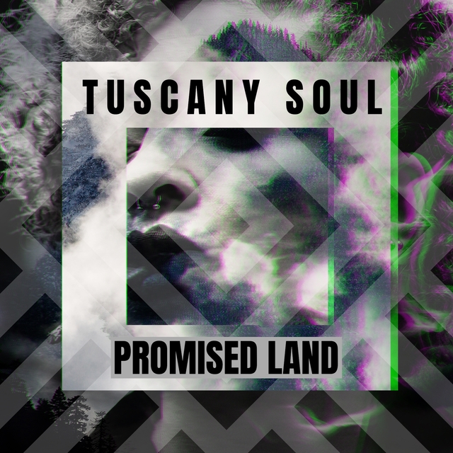 Couverture de Promised Land