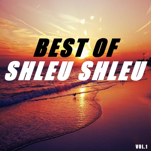 Couverture de Best of shleu shleu