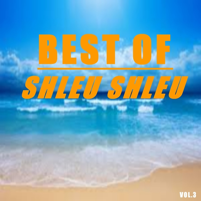 Couverture de Best of shleu shleu