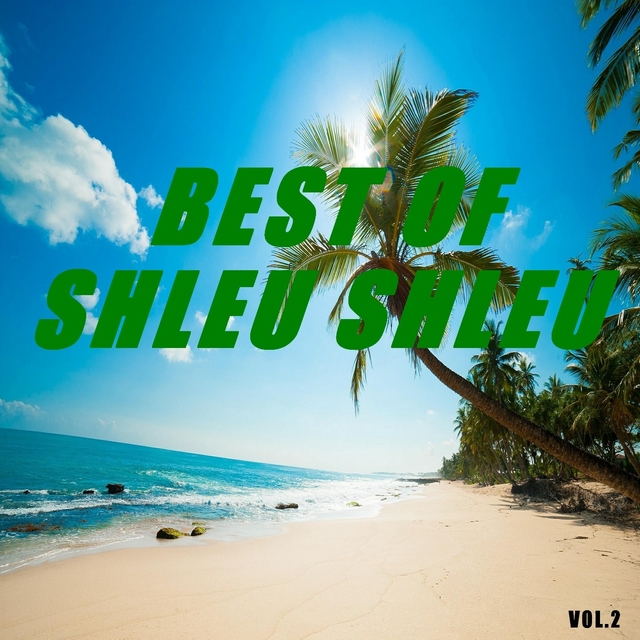 Couverture de Best of shleu shleu