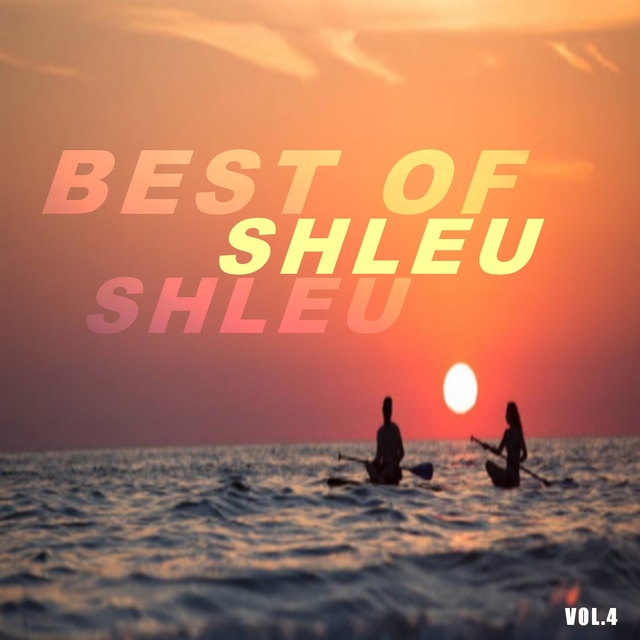 Couverture de Best of shleu shleu