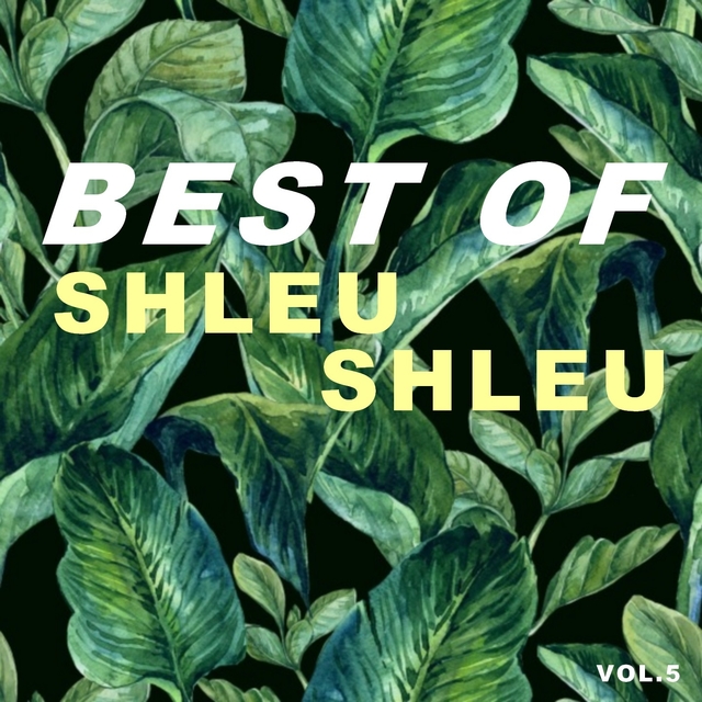 Couverture de Best of shleu shleu