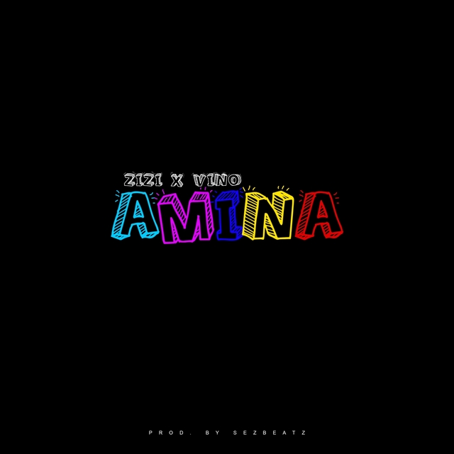 Couverture de AMINA