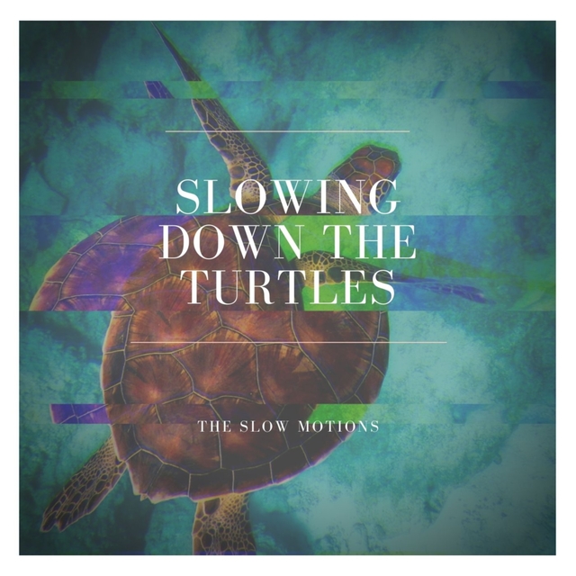 Couverture de Slowing Down the Turtles