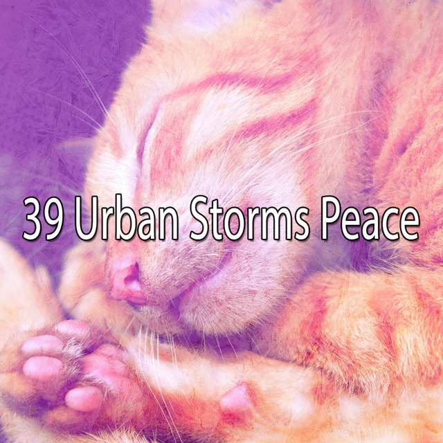 39 Urban Storms Peace