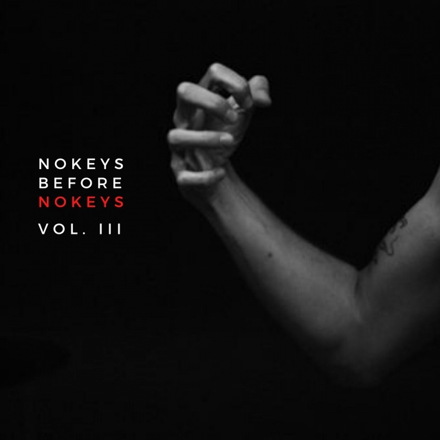 Nokeys Before Nokeys, Vol. 3