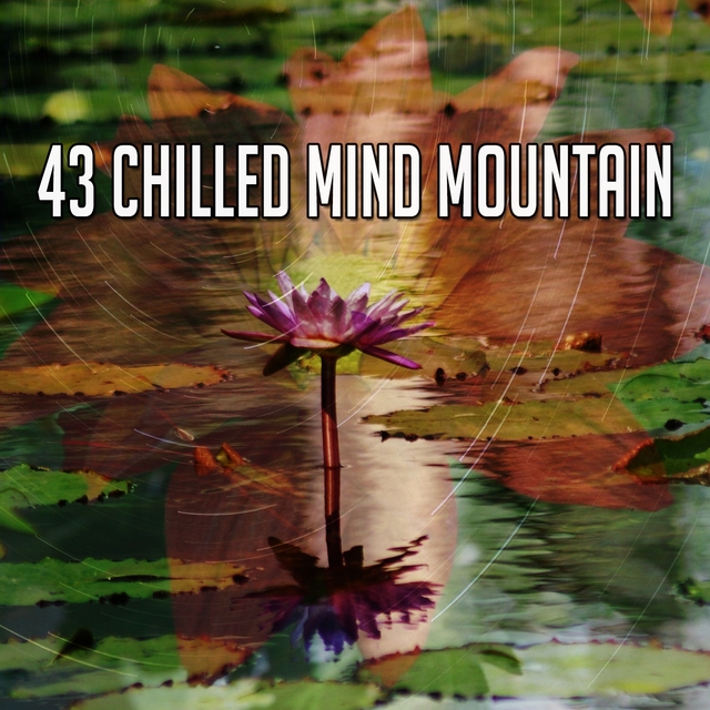 Couverture de 43 Chilled Mind Mountain