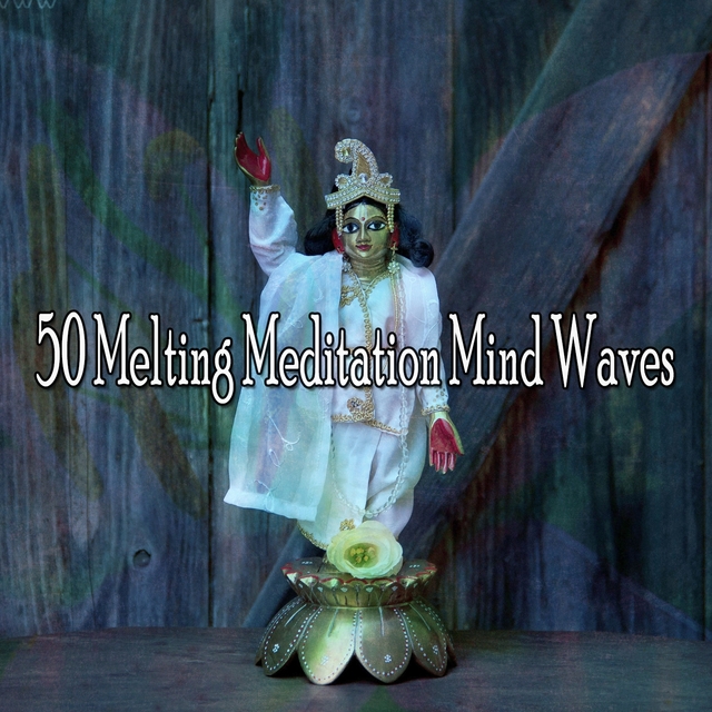 Couverture de 50 Melting Meditation Mind Waves