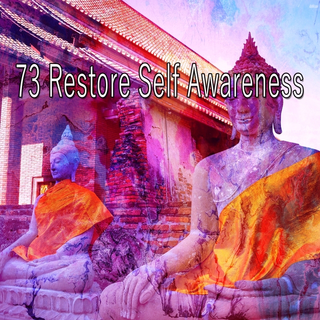 Couverture de 73 Restore Self Awareness