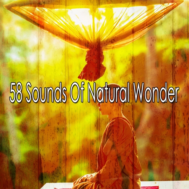 Couverture de 58 Sounds of Natural Wonder