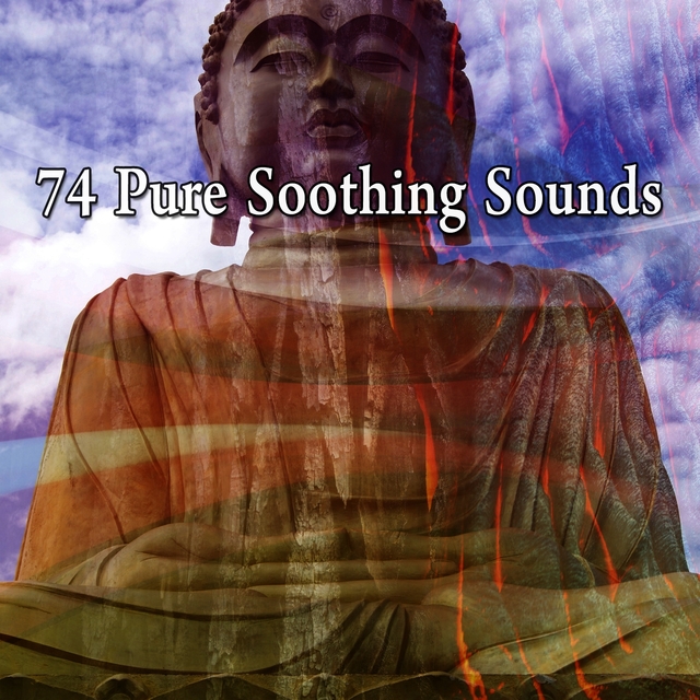 Couverture de 74 Pure Soothing Sounds