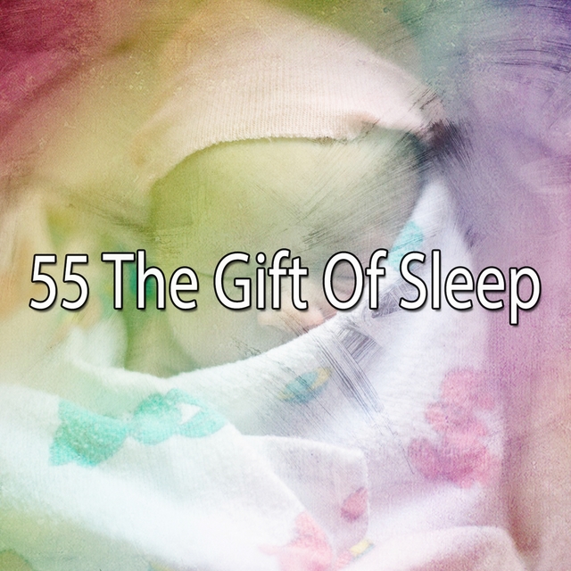 55 The Gift of Sle - EP