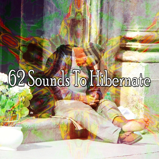 62 Sounds to Hibernate