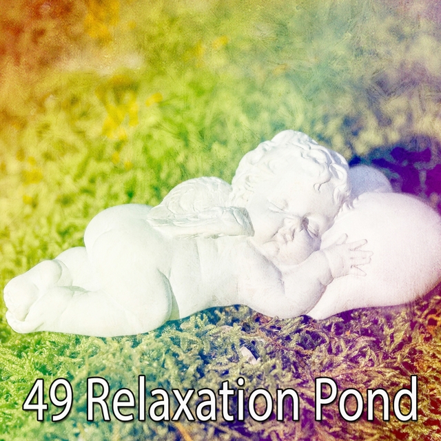 Couverture de 49 Relaxation Pond