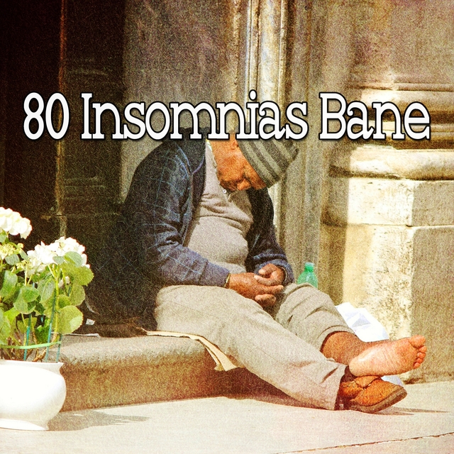 Couverture de 80 Insomnias Bane