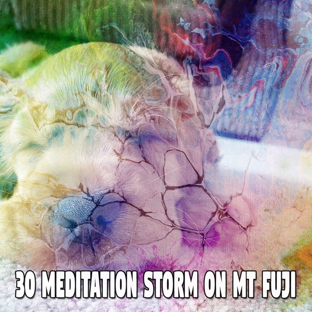 30 Meditation Storm on Mt Fuji