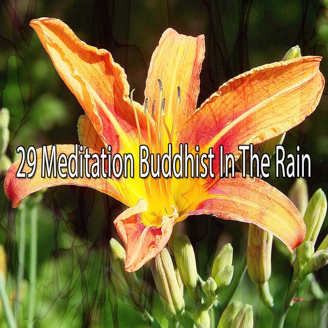 29 Meditation Buddhist in the Rain