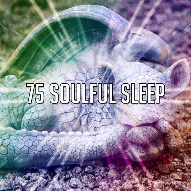 75 Soulful Sle - EP