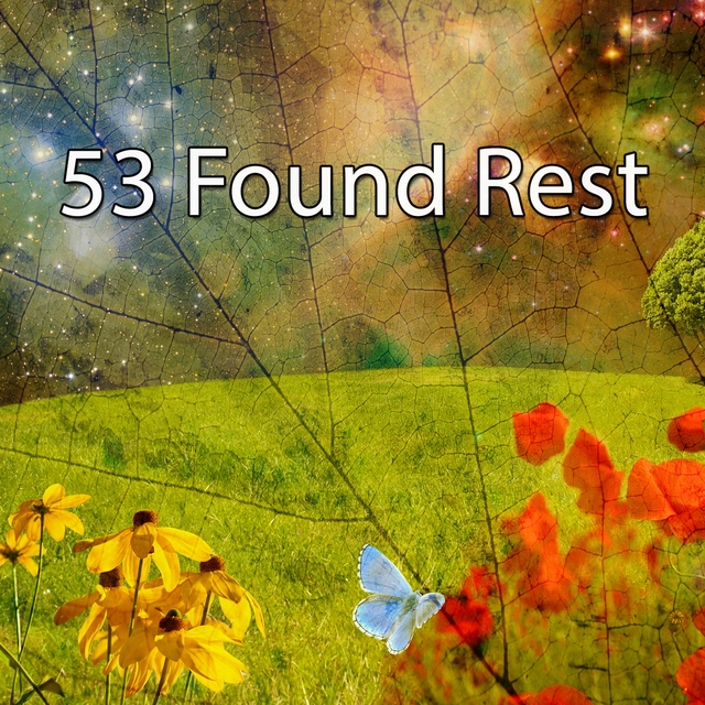 53 Found Rest