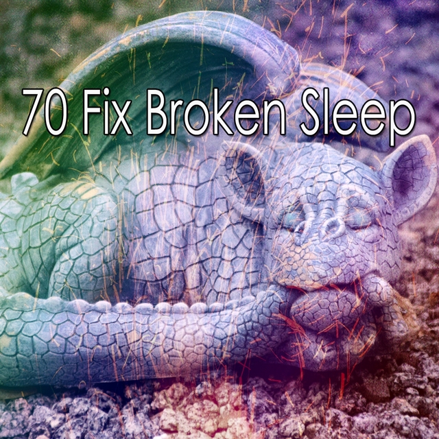 70 Fix Broken Sle - EP