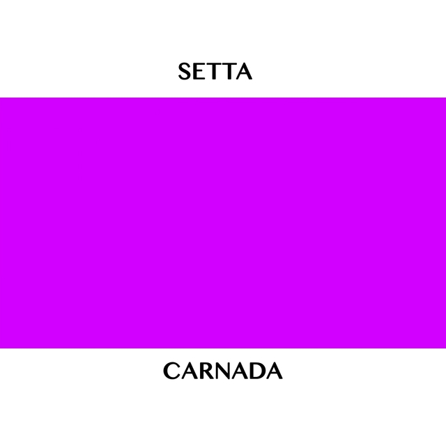 Setta