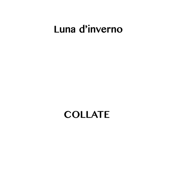 Couverture de Luna d'inverno