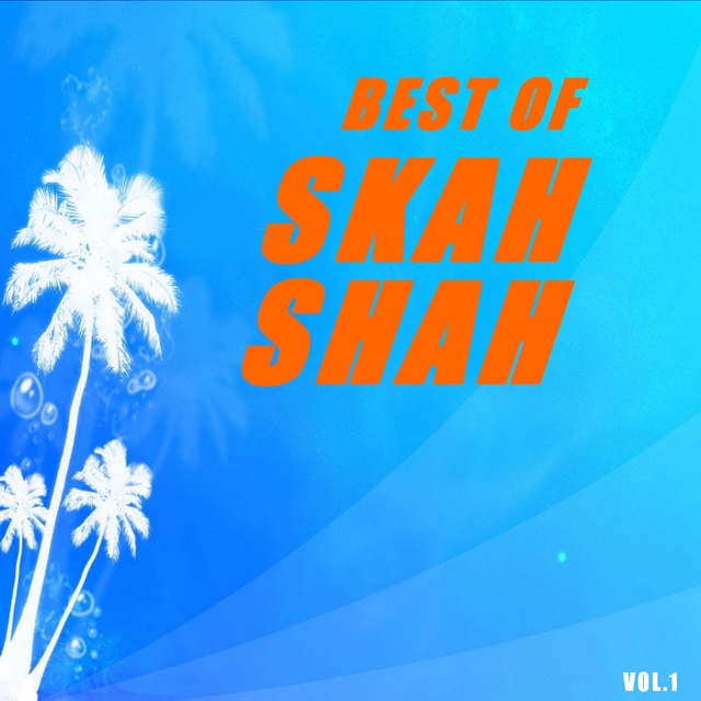 Couverture de Best of skah shah