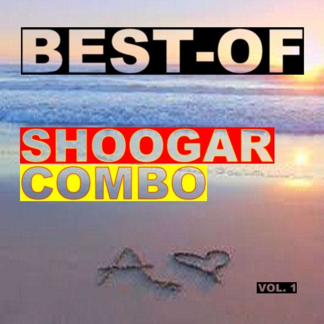 Couverture de Best of shoogar combo