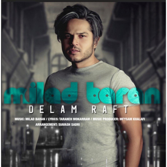 Couverture de Delam Raft