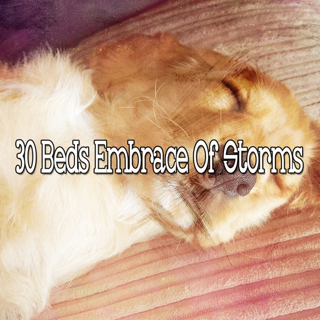 30 Beds Embrace of Storms