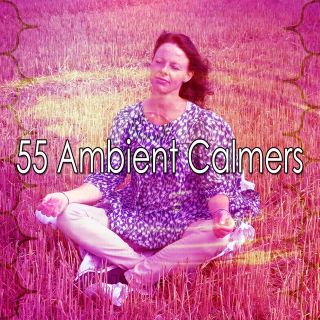 Couverture de 55 Ambient Calmers